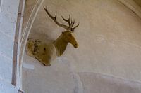 Iconoclasm stag church Vignory