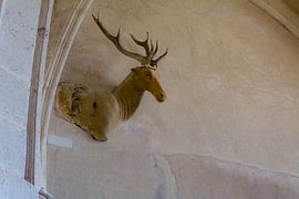 Ikonoklasmus Hirschkirche Vignory von Peter Hermus