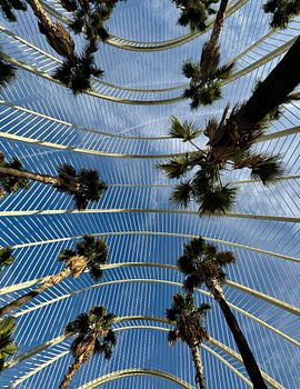 Architektur und Palmen unter blauem Himmel