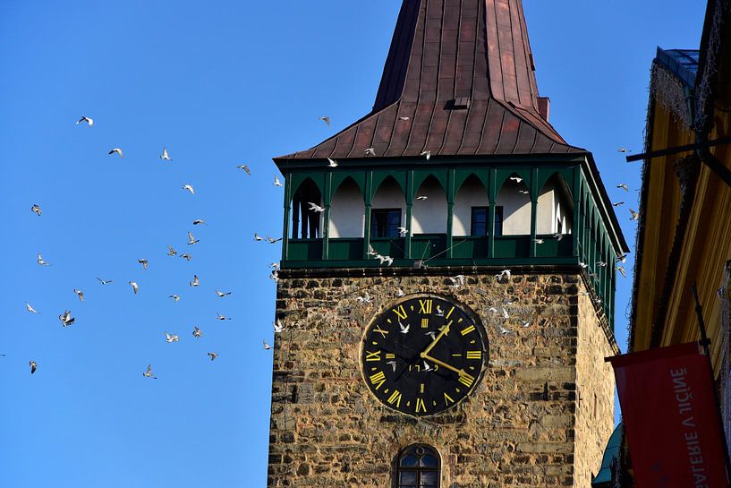 Clock Tower met Duiven par Marcel Ethner