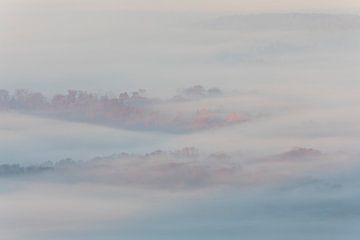 Ambiance idyllique avec les cimes orangées des arbres dans la brume matinale sur Jiri Viehmann