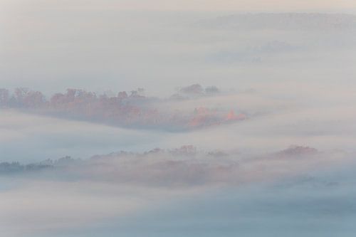 Mistzee in de Voralb - een uitzicht van bovenaf op het bos in de mistzee.
