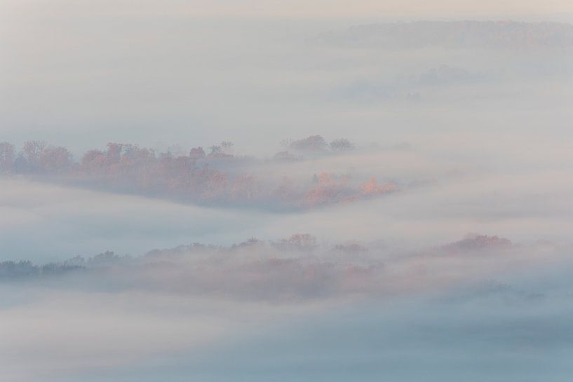 Sea of fog in the Voralb - a view from above of the forest in the sea of fog. by Jiri Viehmann