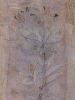 Ecoprint of chestnut leaf