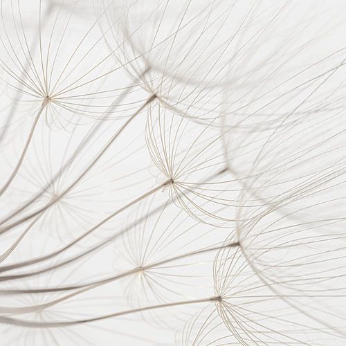 Minimalistisch: eenvoud en rust uit de natuur