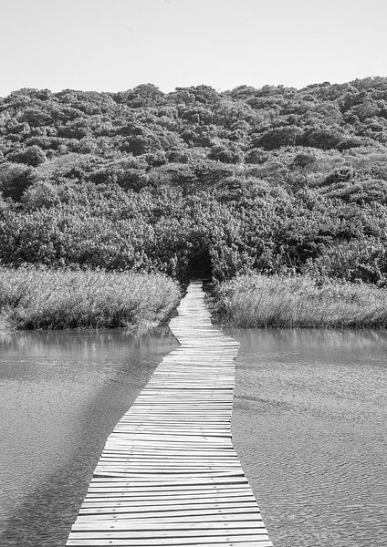 Bienvenue dans la jungle par Shot by Clint