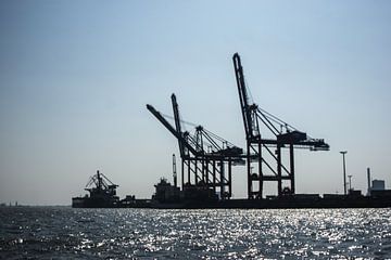 Container portaalkranen en vrachtschepen