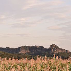 Rotsgebergte in Tsjechië van Manon Sloetjes