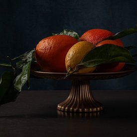 Still life with citrus fruits by Renee Klein