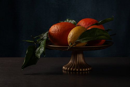 Stilleven met citrusvruchten van Renee Klein