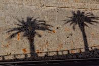 schaduwen van twee palmbomen op de kasteelmuur op Malta van Eric van Nieuwland thumbnail