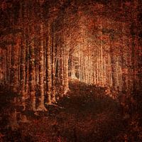 Forêt rouillée
