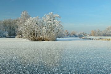 Bevroren plas met berijpte winterboom van Merijn van der Vliet