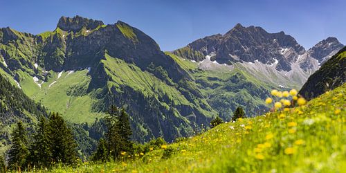 Le printemps dans les Alpes d'Allgäu