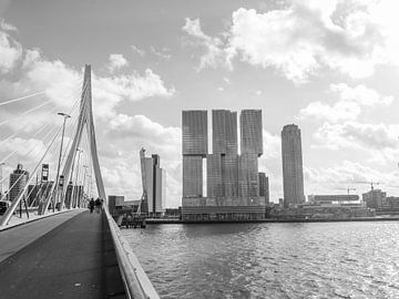 Rotterdam De Zwaan van Bianca  Hinnen
