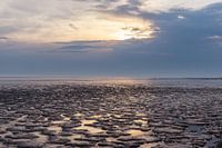 Wadden Sea