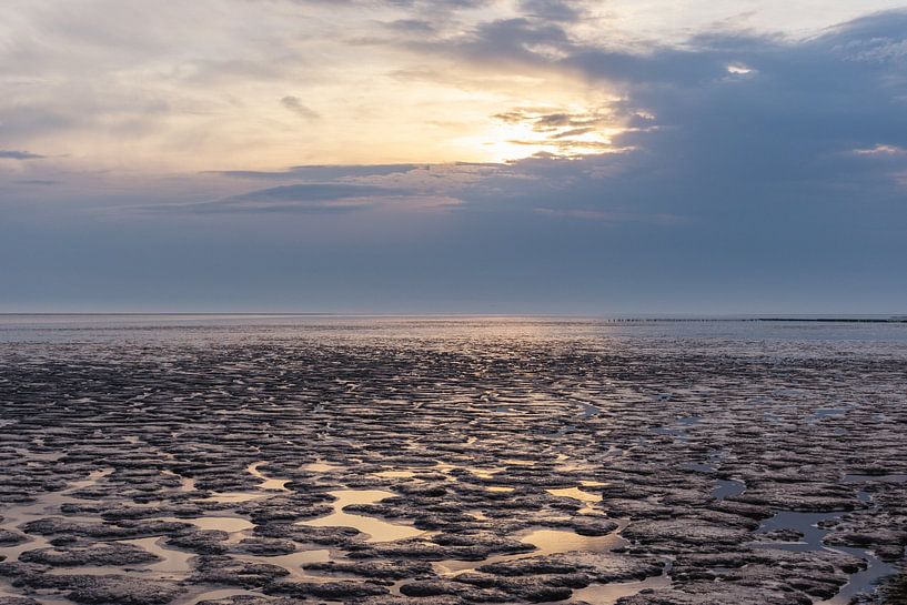 Wadden Sea by Dotwood