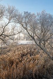 Winterlandschap van t.ART