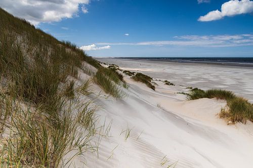 vue de la plage près d'Ameland