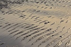 Rippel im nassen Sand