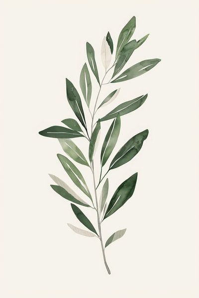 Olive branch by Poster Art Shop