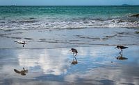 colours of the beach by Xenia Blair thumbnail