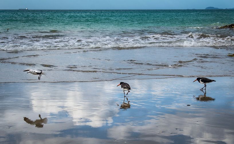 colours of the beach by Xenia Blair