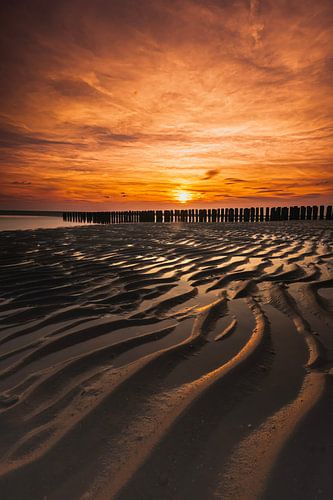 De gouden momenten wanneer de zon ondergaat. van Robby's fotografie