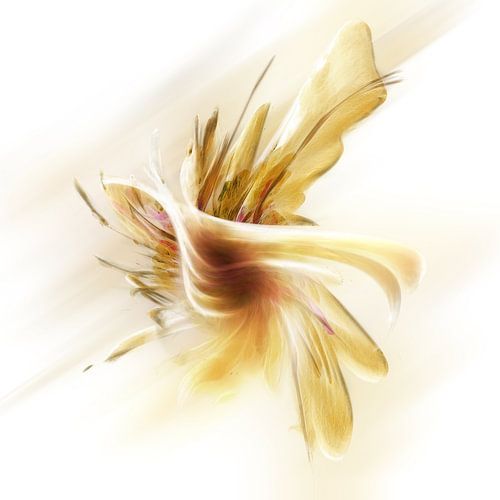 orchid fantasienemsis by Silvio Schoisswohl