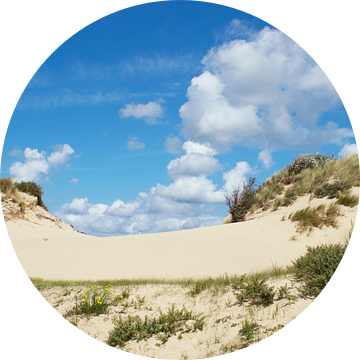 Hollandse duinen bij Wassenaar (Nederland) van Birgitte Bergman