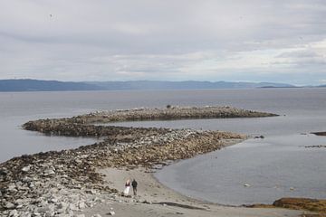 Die Felsenschlange von Emmelot Linssen