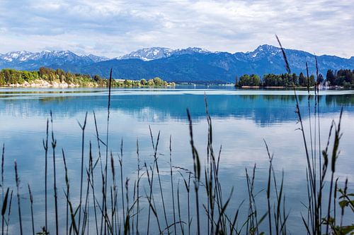 Lake in the Alps
