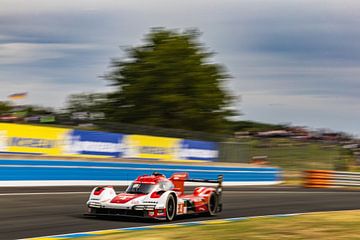 Le Mans 24 uur, de Porsche net na de Porsche Curve van Bob Van der Wolf