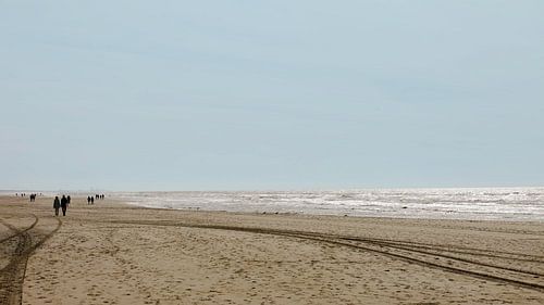 Een wandeling over de stranden van Nederland
