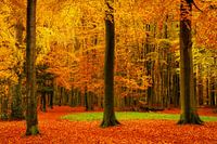 Gipfel des Herbstes