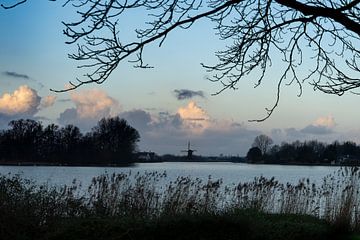 Mooie molen Binnenmaas van Willian Goedhart