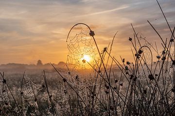 Betoverende zonsopkomst