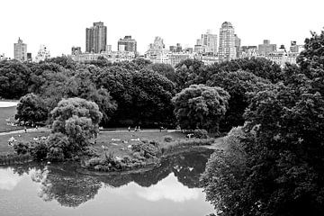 new york city ... central park relaxation von Meleah Fotografie