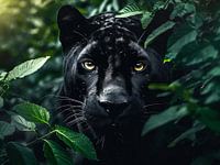 Puma in the jungle - wild animal - tough look of a wild beast