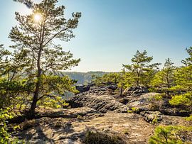 Großes Bärenhorn, Sächsische Schweiz - Gipfelplateau von Pixelwerk