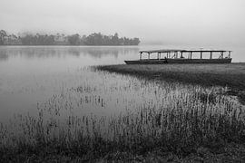 Pas de passagers aujourd'hui sur Anges van der Logt