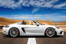 Porsche 718 Spyder