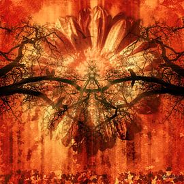 Gerbera in Sundown by Helga Blanke