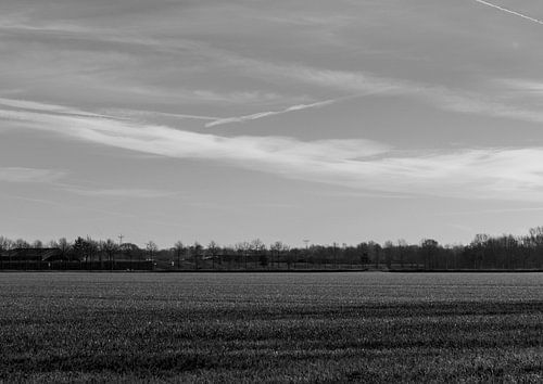 Wijde blik op het landschap. Zwart wit met een vliegtuig streep in de lucht. Aan de horizon een rij 
