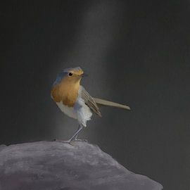 Robin sur Emmie Van der knokke