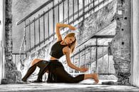 Danseres modern van Bob Karman thumbnail