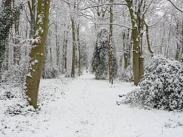 Winterwandeling van Natascha Tunderman