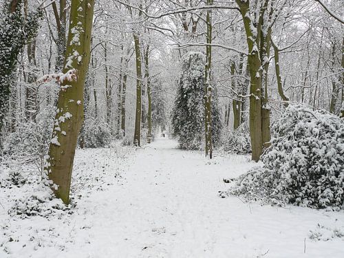 Winterwandeling