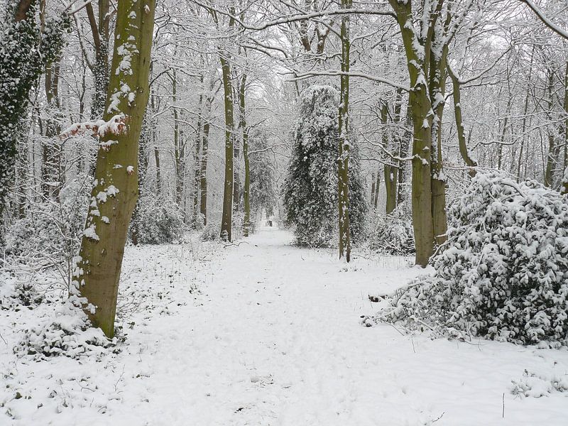 Winterwandeling by Natascha Tunderman
