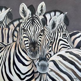 Zebras von Ineke Zeeuw